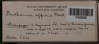 Image Associated With the Occurrence